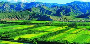 廣西農(nóng)村投資集團(tuán)待遇怎么樣？廣西農(nóng)業(yè)信貸擔(dān)保公司工資多少？中層如何？