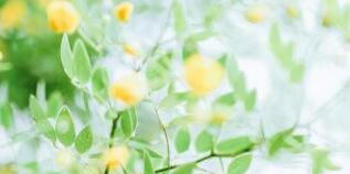 廣西千年傳說榮斌簡歷，杜婷高管領(lǐng)導(dǎo)班子有哪些成員